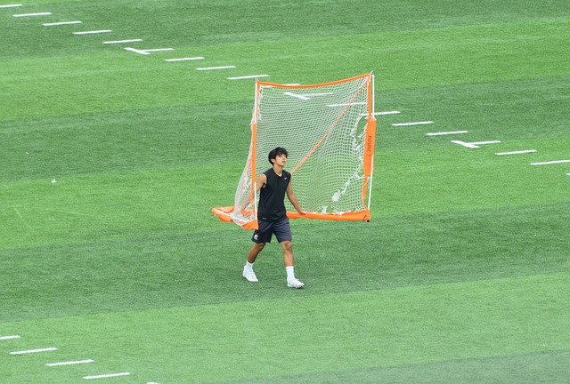 析不难看出
