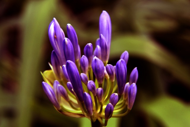 合理分配比 合理分配比