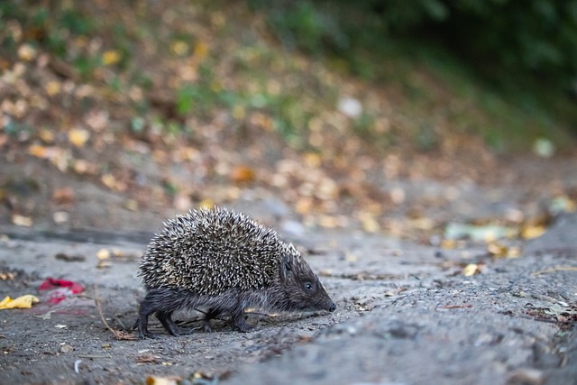 赛中证明了 赛中证明了